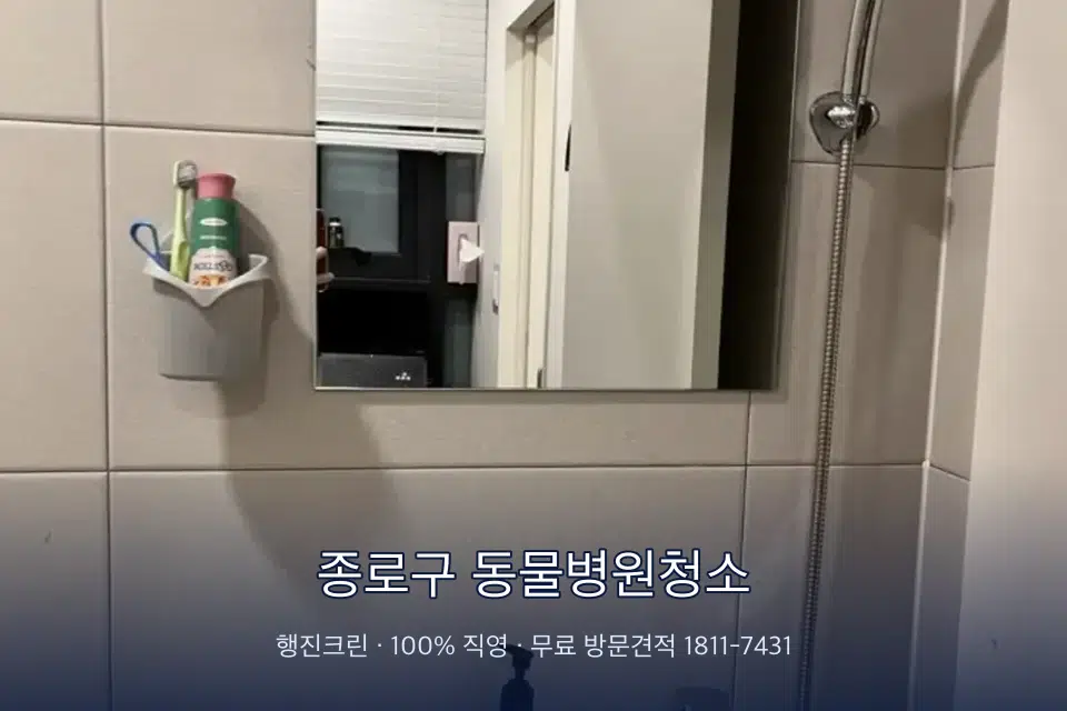 종로구 동물병원청소 병원 화장실 세면대 살균